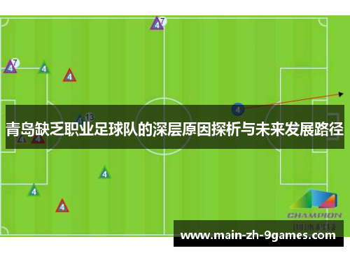 青岛缺乏职业足球队的深层原因探析与未来发展路径